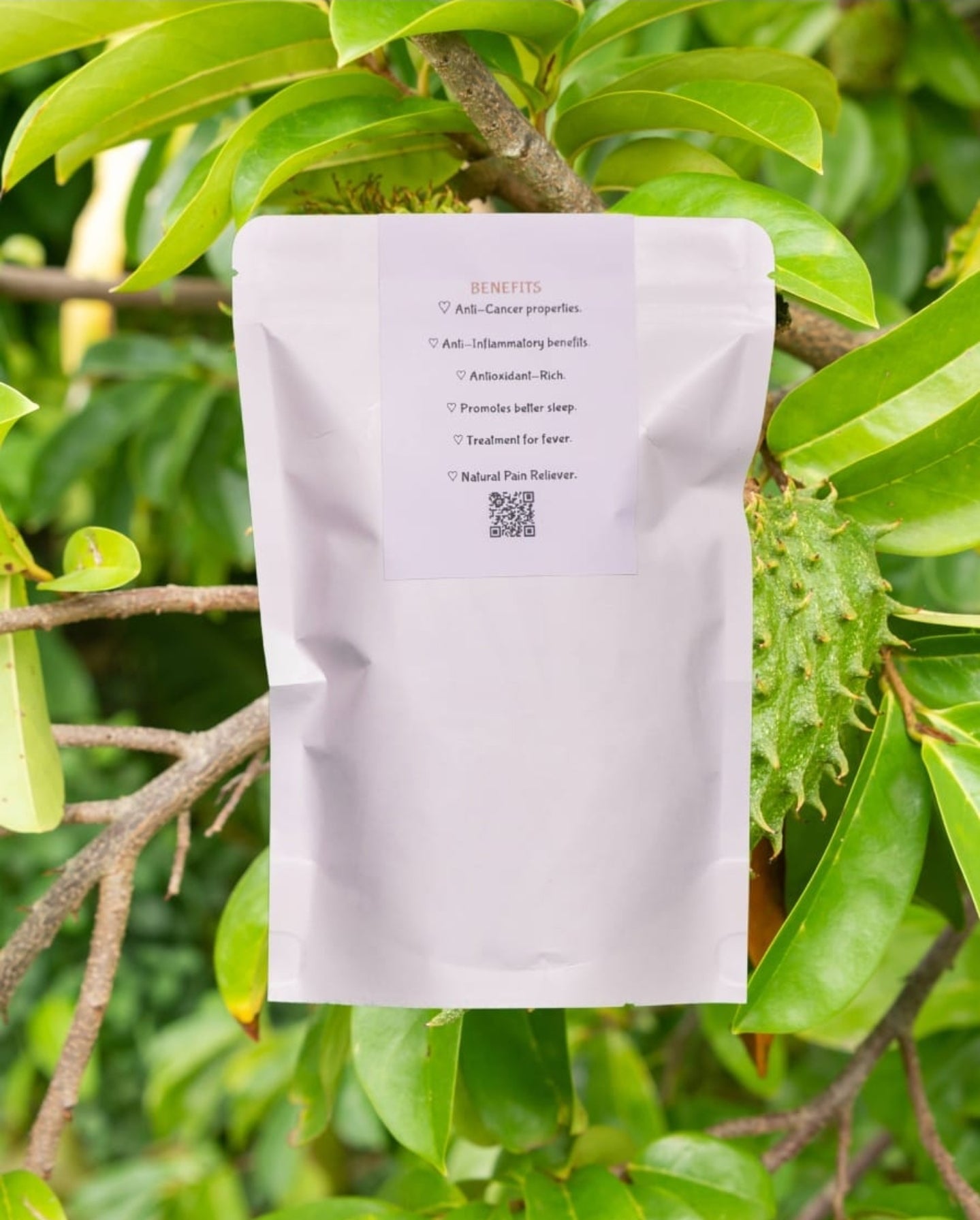 Soursop Leaf Teabags