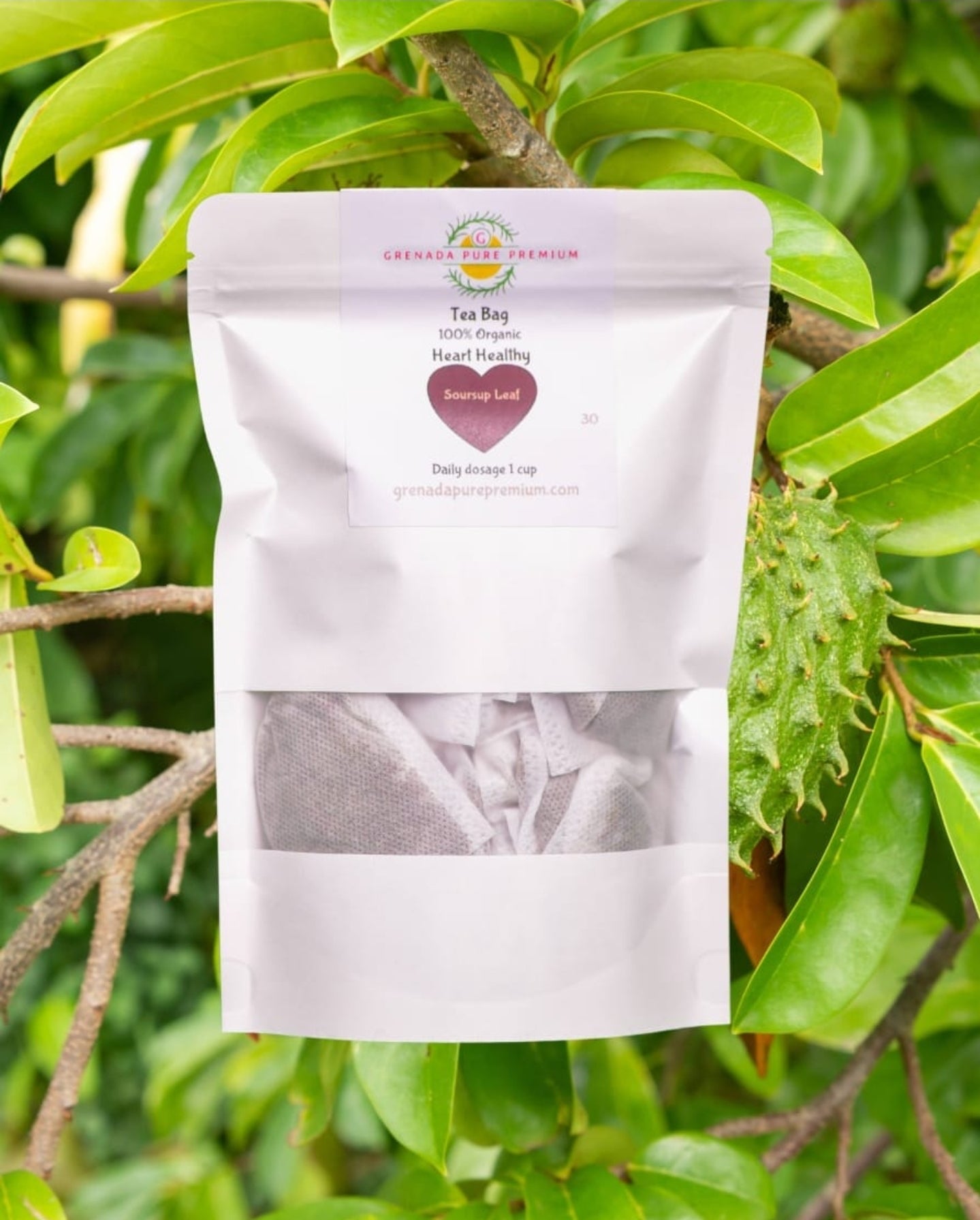 Soursop Leaf Teabags