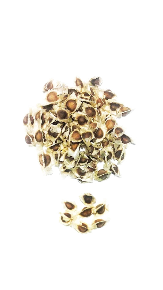 Moringa Seeds