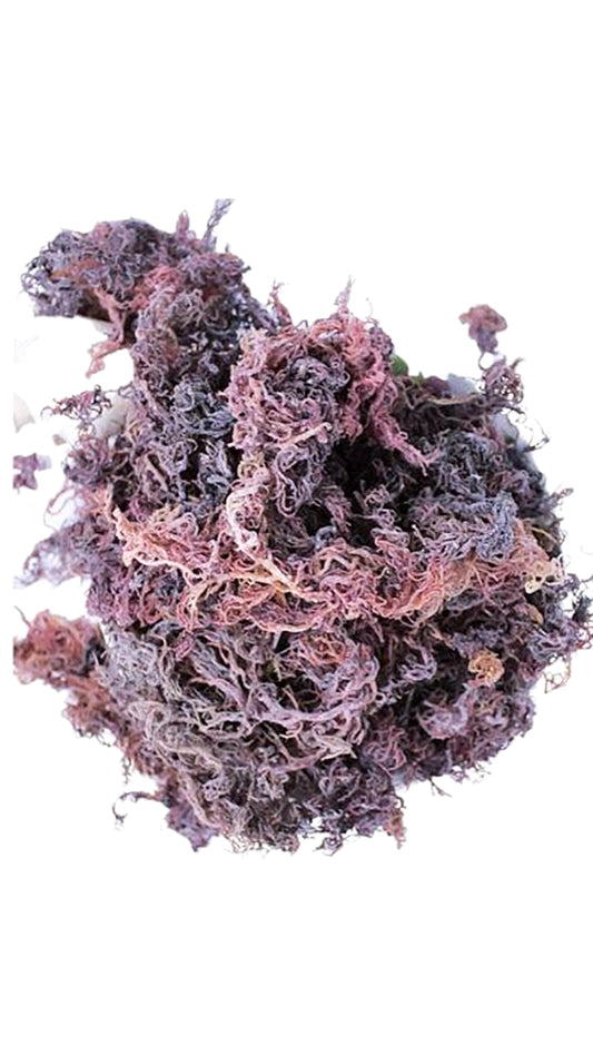 Dried Purple Seamoss